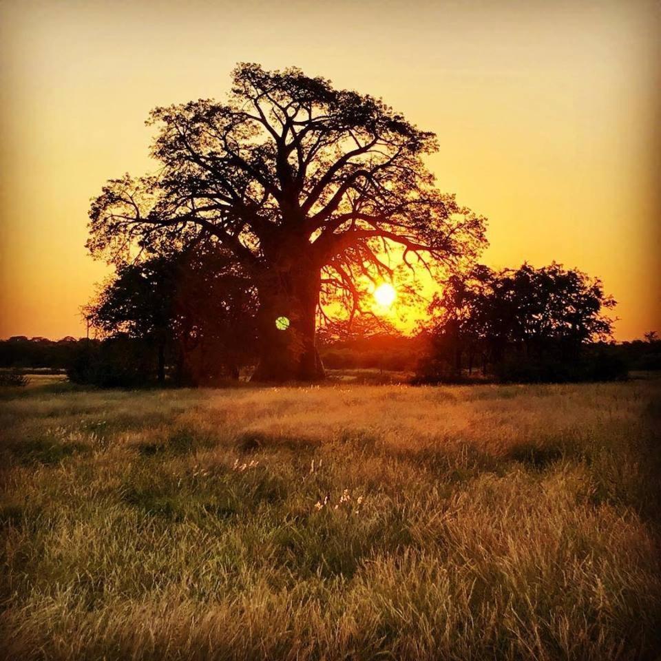 Munati B&B Musina Bagian luar foto
