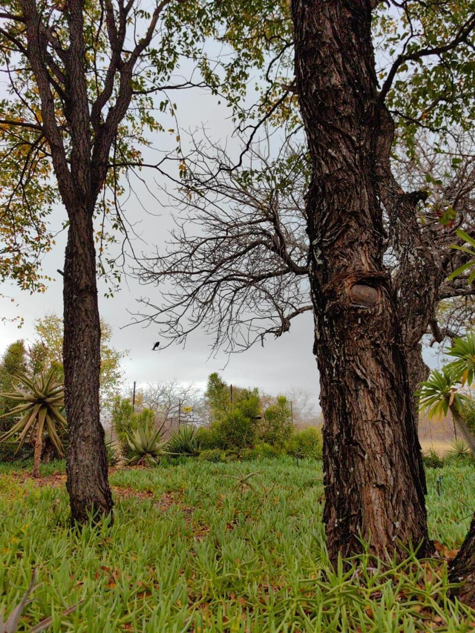 Munati B&B Musina Bagian luar foto