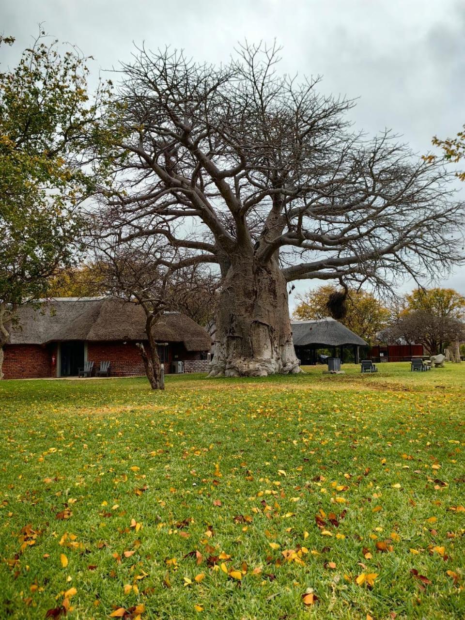 Munati B&B Musina Bagian luar foto
