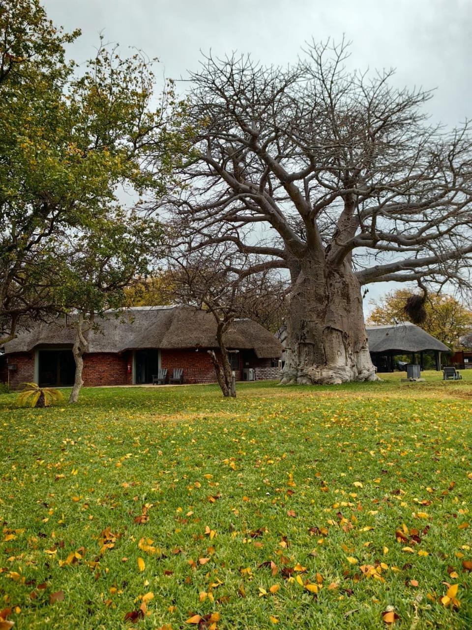 Munati B&B Musina Bagian luar foto